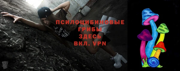 кокс Алексин