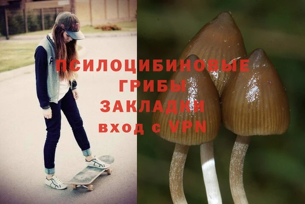 кокс Алексин